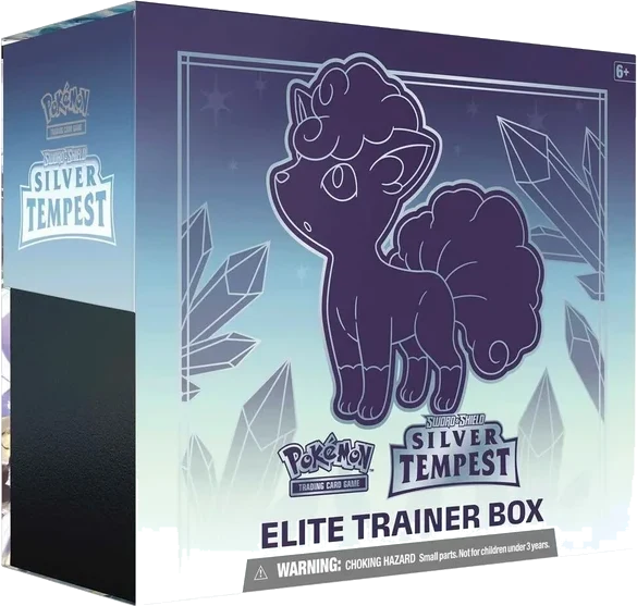Coffret Dresseur d’élite Tempête Argentée