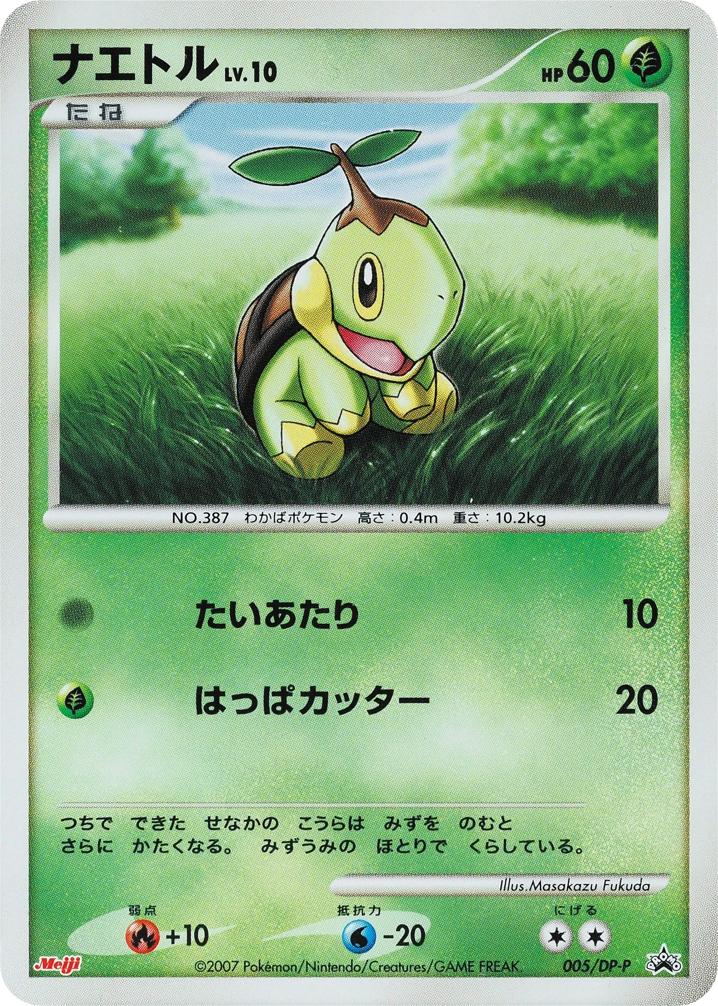 Carte Pokémon Turtwig Lv.10 005, extension DP Promos (japonais)
