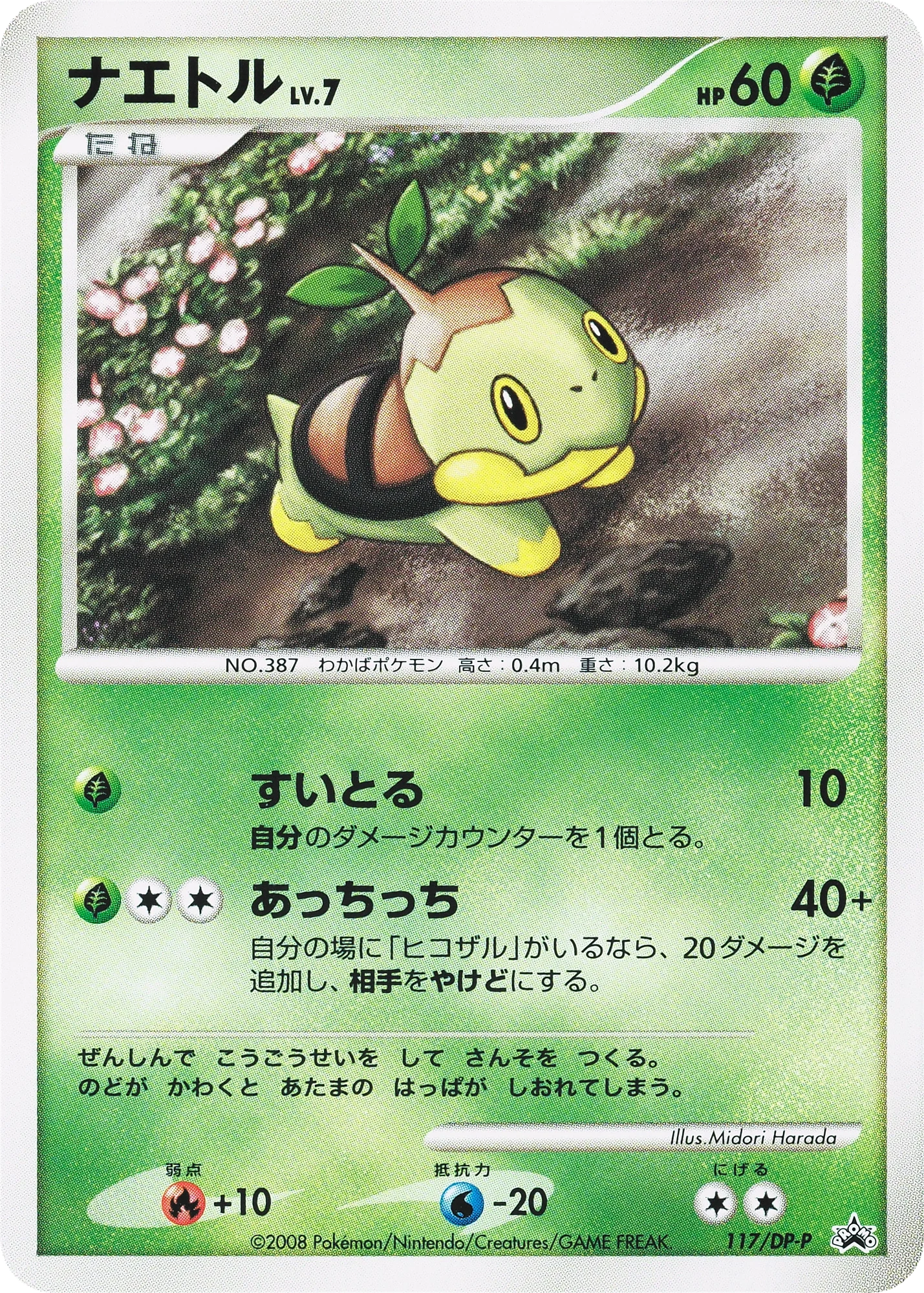 Carte Pokémon Turtwig Lv.7 117, extension DP Promos (japonais)