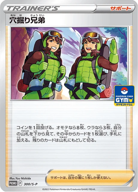 Carte Pokémon Trou Brothers 300, extension Sword & Shield Promotional Cards (japonais)