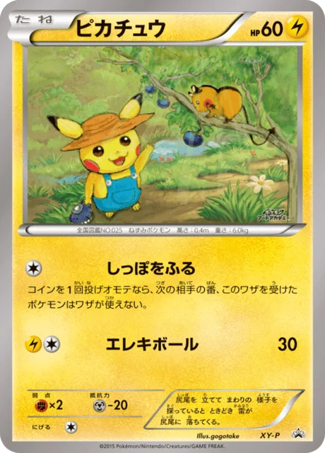 Carte Pokémon Pikachu NAN116, extension XY Promotional Cards (japonais)